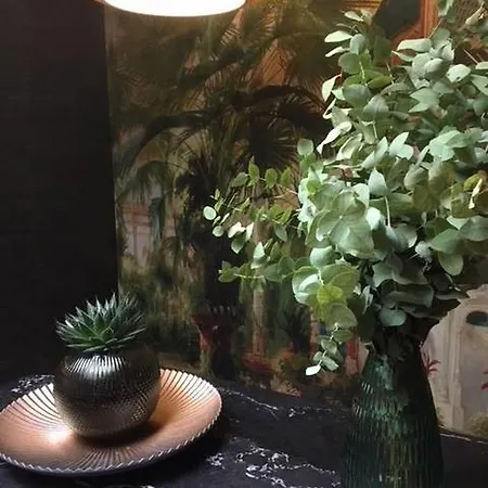 戛纳大学中心酒店 酒店