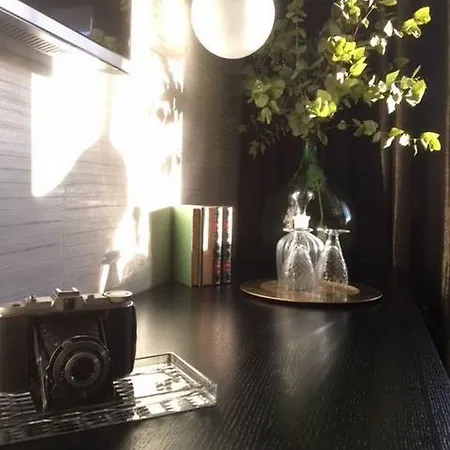戛纳大学中心酒店 酒店 4*